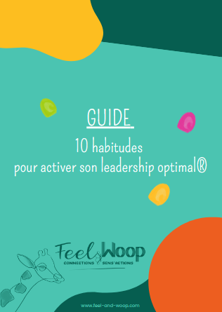 Image Guide Leadership Optimal